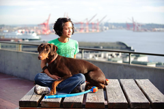 Chuckit! Classic Ball Launcher