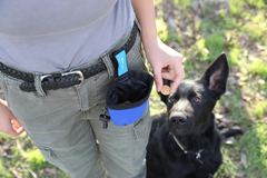 Chuckit! Treat Tote Dog Treat Pouch for Puppy Training