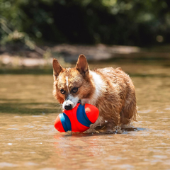 Chuckit! Fumble Fetch Dog Football - Outdoor and Indoor Interactive Dog Toy with Grooved Design for Easy Pickup - Made from Durable Rubber - Floats in Water - Orange and Blue