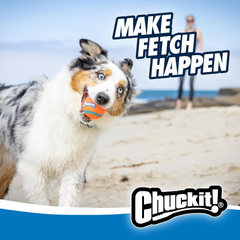 Chuckit! Dog Ball Launcher - Junior 18", Dog Fetch Ball Thrower, For Dogs 20-60 Pounds, Made in USA