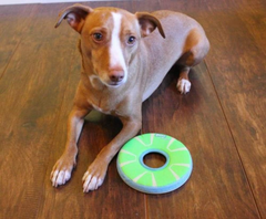 Chuckit! Max Glow Zipflight Flying Disc Dog Toy