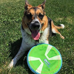 Chuckit! Max Glow Paraflight Flying Disc Dog Toy