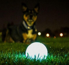 Chuckit! Glow in the Dark Bouncy Balls - Ball for Dogs, Chuckit Dog Toy, Max Glow Balls