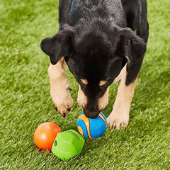 Chuckit! Fetch Pack Dog Ball Dog Toys, for Medium Breeds, Includes Erratic, Strato and Ultra Squeaker Balls