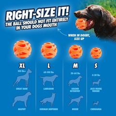 Chuckit! Air Fetch Ball Dog Toy - For Dogs 60-100 lbs - Bouncy and Durable - Hollow Design