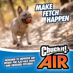 Chuckit! Air Fetch Ball Dog Toy - For Dogs 60-100 lbs - Bouncy and Durable - Hollow Design