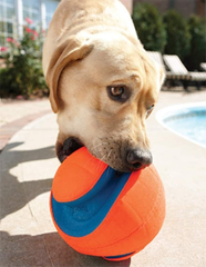 Chuckit! Petmate 251101 Kick Fetch Ball 1EA