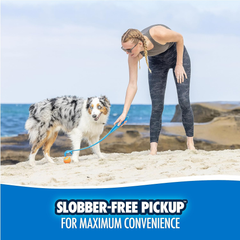 Chuckit! Dog Ball Launcher - Pro 18", Dog Fetch Ball Thrower, For Dogs 20-60 Pounds, Made in USA