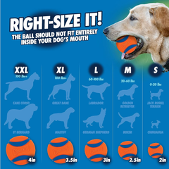 Chuckit! Dog Ball Launcher - Pro 18", Dog Fetch Ball Thrower, For Dogs 20-60 Pounds, Made in USA