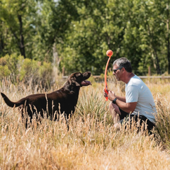 Chuckit! Sport 26L Dog Ball Launcher - Includes a 3-inch Diameter Large Ball for Dogs 60-100 Pounds - Manual Thrower for Dog Balls With a Slim Ergonomic Handle