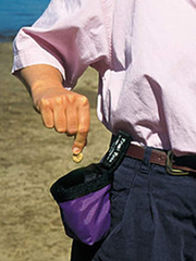 Chuckit! Treat Tote Dog Treat Pouch for Puppy Training, Assorted Colors