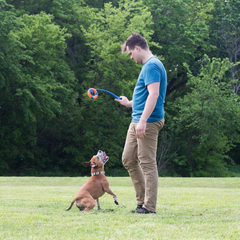 Chuckit! Ring Chaser Dog Ball Launcher Dog Toy Set, 22 Inch Length with 4.5 Inch Dog Ball Ring