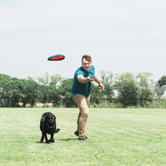 ChuckIt! Fetch Flight Dog Toy