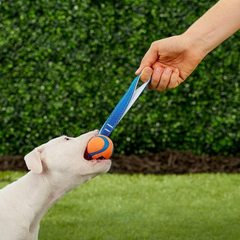 Chuckit! Ultra Tug Dog Toy, Fetch and Dog Ball Tug Toy for Dogs 0-20 Pounds