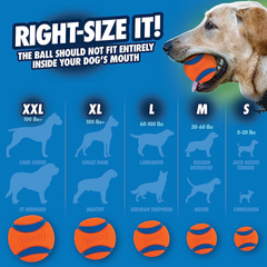 Chuckit! Ultra Tug Dog Toy, Fetch and Dog Ball Tug Toy for Dogs 0-20 Pounds