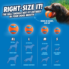 Chuckit! Dog Balls - Interactive Dog Toys, High-Bounce Fetch Ball, Floating Ultra and Rugged Balls, Durable