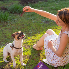 Cloud Star Wag More Bark Less Grain Free Jerky Dog Treats with Duck & Apple