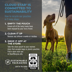 Cloud Star Tricky Trainers Soft & Chewy Dog Training Treats Pouch, Salmon Flavor, Low Calorie Behavior Aid with 360 Treats