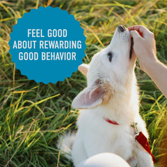 Cloud Star Tricky Trainers Soft & Chewy Dog Training Treats Pouch, Salmon Flavor, Low Calorie Behavior Aid with 360 Treats