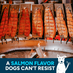 Cloud Star Wag More Bark Less Jerky Dog Treats, Smoked Salmon