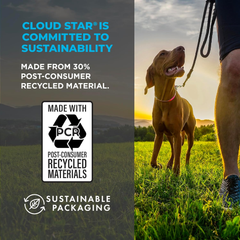 Cloud Star Wag More Bark Less Jerky Dog Treats, Smoked Salmon