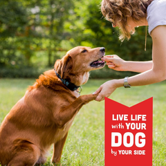 Cloud Star Wag More Bark Less Crunchy Grain Free Dog Treats, Peanut Butter & Apples