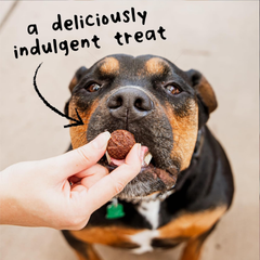 Cloud Star Wag More Bark Less Grain Free Meatballs Lamb Recipe