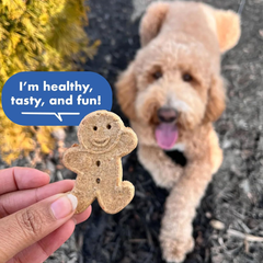 Buddy Biscuits Oven-Baked, Healthy Whole-Grain, Crunchy Treats for Dogs