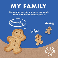 Buddy Biscuits Oven-Baked, Healthy Whole-Grain, Crunchy Treats for Dogs