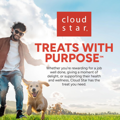 Buddy Biscuits Oven-Baked, Healthy Whole-Grain, Crunchy Treats for Dogs