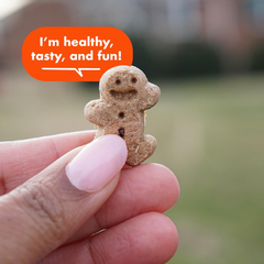 Cloud Star Soft & Chewy Buddy Biscuits - Peanut Butter Flavor