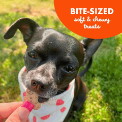 Cloud Star Soft & Chewy Buddy Biscuits - Peanut Butter Flavor