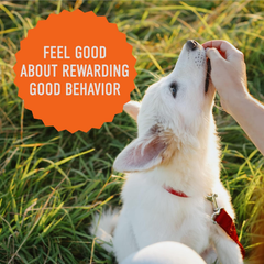 Cloud Star Tricky Trainers Soft & Chewy Dog Training Treats, Peanut Butter Flavor, Grain-Free Low Calorie Behavior Aid with 130 treats