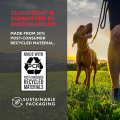 Cloud Star Wag More Bark Less Jerky Grain Free Dog Treats, Texas BBQ Beef