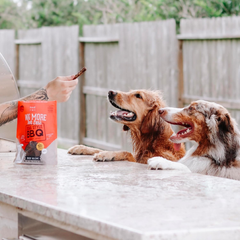 Cloud Star Wag More Bark Less Jerky Grain Free Dog Treats, Texas BBQ Beef