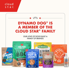Cloud Star Dynamo Dog Skin & Coat Soft Chews Grain Free Dog Treats, Salmon