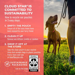 Cloud Star Dynamo Dog Skin & Coat Soft Chews Grain Free Dog Treats, Salmon
