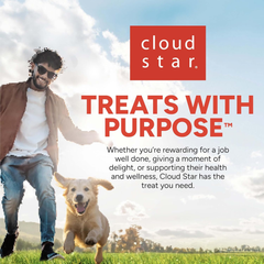 Cloud Star Wag More Bark Less Chicken & Sweet Potato Recipe Grain-Free Jerky Dog Treats