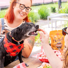 Cloud Star Wag More Bark Less Grain Free Meatball Bites, BBQ Chicken Recipe