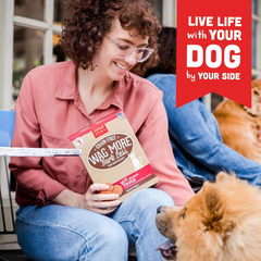 Cloud Star Wag More Bark Less Crunchy Grain Free Dog Treats, Pumpkin