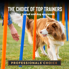 Cloud Star Tricky Trainers Crunchy Dog Training Treats, Salmon Flavor, Low Calorie Behavior Aid with 450 treats