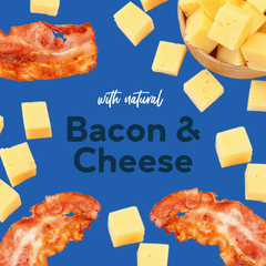 Buddy Biscuits Box Teeny Crunchy Dog Treats Made with Bacon & Cheese