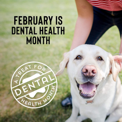 Cloud Star Wag More Bark Less Crunchy Dental Dog Treats, Chicken, Bone Charcoal, Parsley & Mint