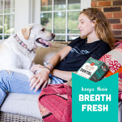 Cloud Star Wag More Bark Less Crunchy Dental Dog Treats, Chicken, Bone Charcoal, Parsley & Mint