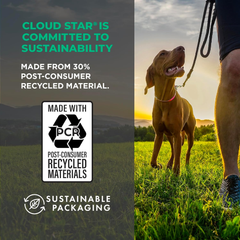 Cloud Star Wag More Bark Less Jerky Grain Free Dog Treats, Kansas City BBQ Chicken