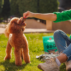 Cloud Star Wag More Bark Less Jerky Grain Free Dog Treats, Kansas City BBQ Chicken