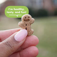 Buddy Biscuit Softies Pouch, Soft & Chewy, Natural Roasted Chicken Flavor Dog Treats, Oven Baked in the USA