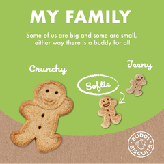 Buddy Biscuit Softies Pouch, Soft & Chewy, Natural Roasted Chicken Flavor Dog Treats, Oven Baked in the USA