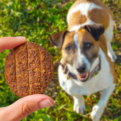 Cloud Star Wag More Bark Less Sliders Dog Treats, BBQ Chicken