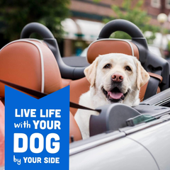 Cloud Star Wag More Bark Less Oats & Grains Crunchy Dog Treats, Bacon, Cheese & Apples